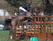 Offel Pour Le Poussage TosTour2013- S5 2393 : Arezzo, Arezzo Equestrian Centre, Offel Katarina, Pour le Poussage, Toscana Tour 2013, foto di Stefano Secchi ©